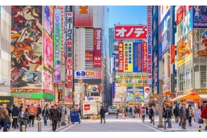 日本專線-日本佐川小包專線，可走化妝品