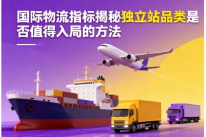 國際物流指標(biāo)揭秘獨立站品類是否值得入局的方法