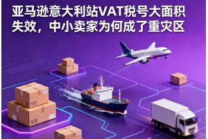 亞馬遜意大利站VAT稅號大面積失效，中小賣家為何成了重災區(qū)