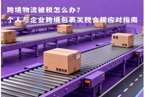 跨境物流被稅怎么辦？個人與企業跨境包裹關稅合規應對指南