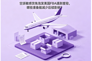 空派敏感貨免泡發美國FBA遇到查驗，哪些準備能減少后續影響？