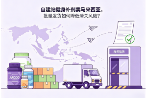 自建站健身補劑賣馬來西亞，批量發貨如何降低清關風險？
