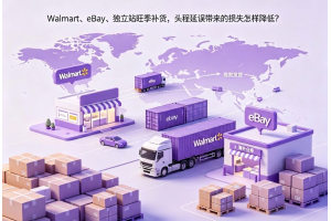 Walmart、eBay、獨(dú)立站旺季補(bǔ)貨，頭程延誤帶來(lái)的損失怎樣降低？